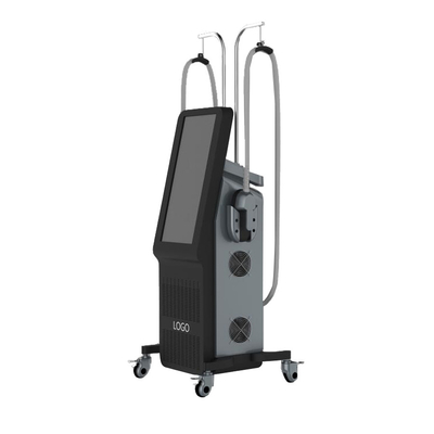 EMS Professional Slimming Machine 5000W con stimolazione muscolare elettrica