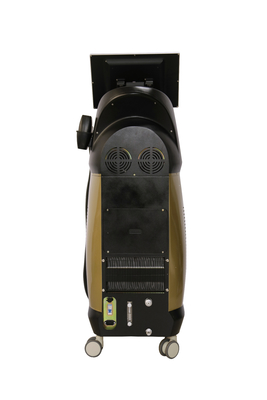 OEM Salone Laser depilazione Diodo 808 Laser Machine Lingue Inglese Opzione