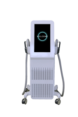 Macchina stimolante muscolare professionale 2000W EMS Machine per la crescita muscolare