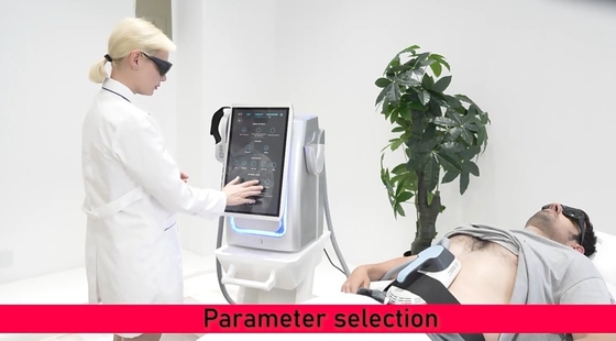 Salone di bellezza EMS Slimming Machine Tipo desktop Per perdita di peso / stretta della pelle