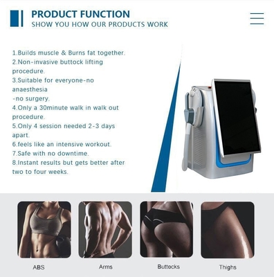 Macchina di stimolazione muscolare elettromagnetica non invasiva RF Slim Beauty Machine 5000W Per la perdita di peso